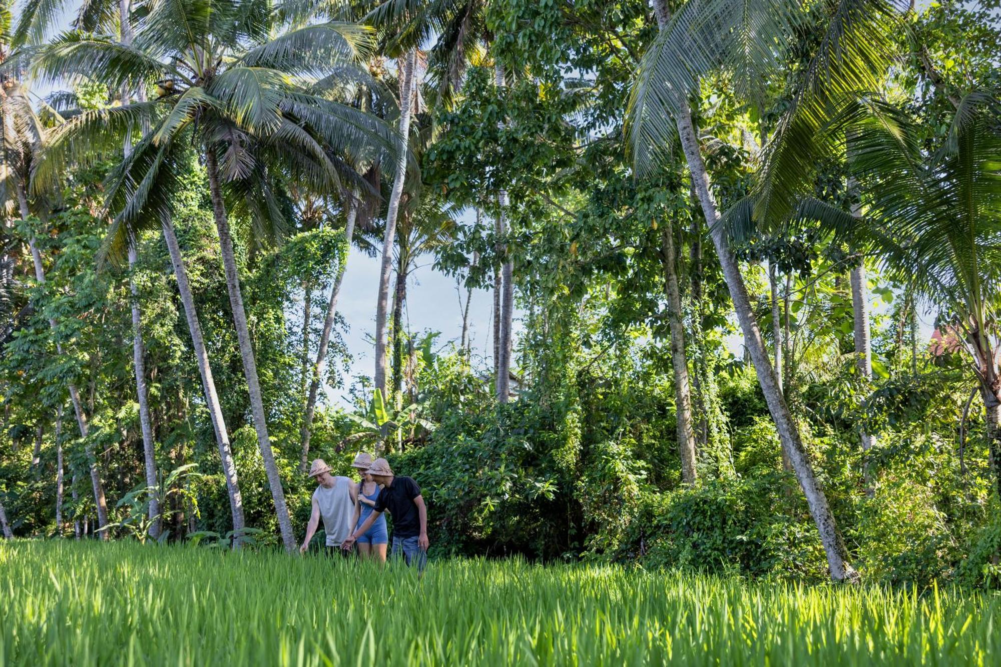 Villa Kanhara By Pramana Ubud